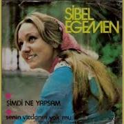 SİBEL EGEMEN Dönmeyecek 1992 Official Nostalji Arşivi