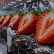 Inside A Modern Strawberry Jam Factory From Fresh Strawberries To Thick Red Jam Full Process