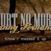 Lyrics Hurt No More Danny Fernandes