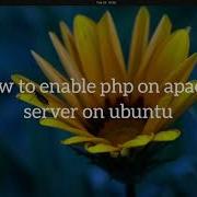 How To Enable Php On Apache Server On Ubuntu