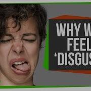 Why Humans Feel Disgust And Why Other Animals Might Too