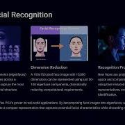 Mastering PCA And SVD For Dimensionality Reduction