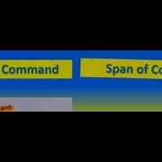Chain Of Command Vs Span Of Control