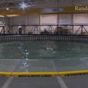 Demonstration On Flowave