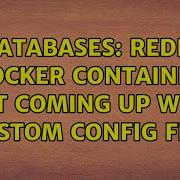 Databases Redis Docker Container Not Coming Up With Custom Config File