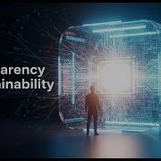 Transparency Explainability In AI What They Really Mean