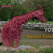 YOLACT Instance Segmentation Google Colab Tutorial