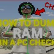HOW TO DUMP RAM IN A PC CHECK