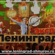 Ленинград Экспонат Live 2024