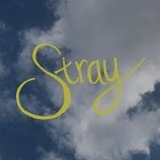 Gouge Away Stray Official Video