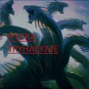 Tryhackme Hydra Complete Walkthrough