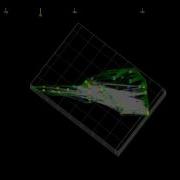 Experimental Variogram Directions
