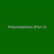 Chapter 11 Polymorphism Part 1