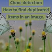 How To Find Duplicate Items In An Image Clone Detection Tool