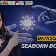 Master Seaborn Box Plot In Minutes Not Hours