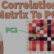 Uncover Hidden Data Patterns PCA Correlation Matrix Explained With Python S Sklearn