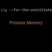 Zig For The Uninitiated Understanding Process Memory