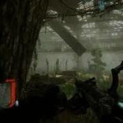 Crysis3 Bug Mp4
