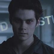 Void Stiles Animals