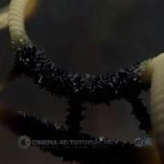 Morph Textures Tutorial Cinema 4d