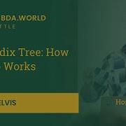 Lambda World 2018 The Radix Trees How IntMap Works Tikhon Jelvis