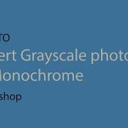 Covert Gray Scale Image To Monochrome