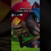 Who S The Angry Bird Now AngryBirds X Talking Tom