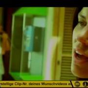 HQ Itchycoo Killer Bee 2003