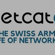 Netcat Tutorial Banner Grabbing
