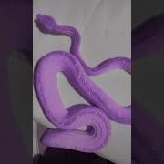 Playing With Colorful Snake Shorts Real Purple