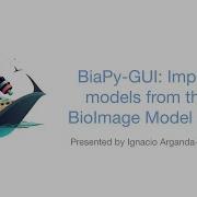 BiaPy GUI Import Models From The BioImage Model Zoo