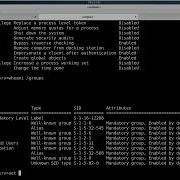 Windows Privilege Escalation For Beginners User Enumeration