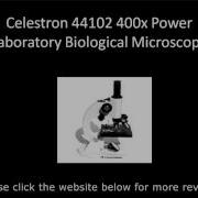 Celestron Biological Microscope Review And Discount