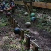 Pendulum Wave Demonstration