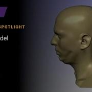 Head Model