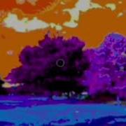 Negative Afterimages The Science Behind The Optical Illusion