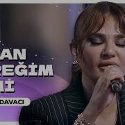 Derya Bedavacı Dayan Yüreğim Emi Çok Akustik