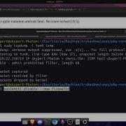 How To Solve WARNING Failed To Daemonise Reverse Shell Php No Connect
