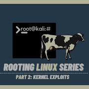 Linux Privilege Escalation Kernel Exploits Rooting Linux Series