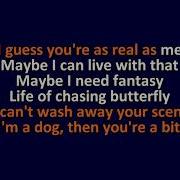 Weezer Butterfly Karaoke Instrumental Lyrics ObsKure