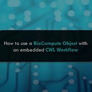 How To Use A BioCompute Object With An Embedded Common Workflow Language Workflow