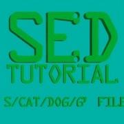 SED Count Lines In A File Linux Shell Tutorial BASH