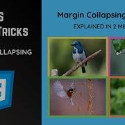 CSS Margin Collapsing A Concise 2 Minute Explanation CSS Tips Tricks
