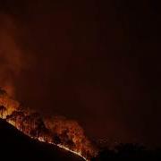 Wildfire Forest Fire FREE STOCK VIDEO