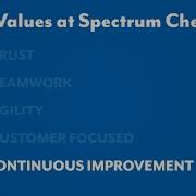 Spectrum Core Values Continuous Improvement