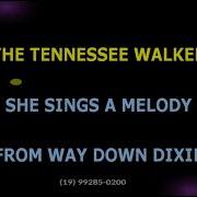 The Beau Brummels Tennessee Walker