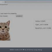Image Classification App Demo