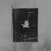 Crow