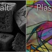 14 Common Objects Under A Microscope