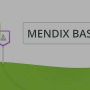 Mendix Basics Introduction For Beginners